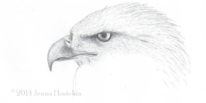 Eagle Sketch CR
