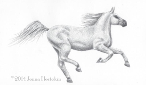 Horse SketchCR